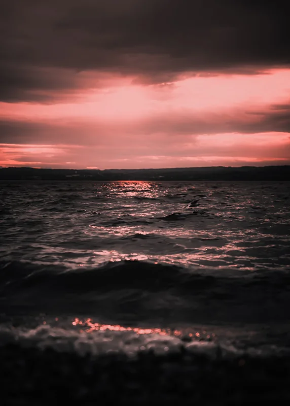 Pink evening light over a dark, gently moving sea